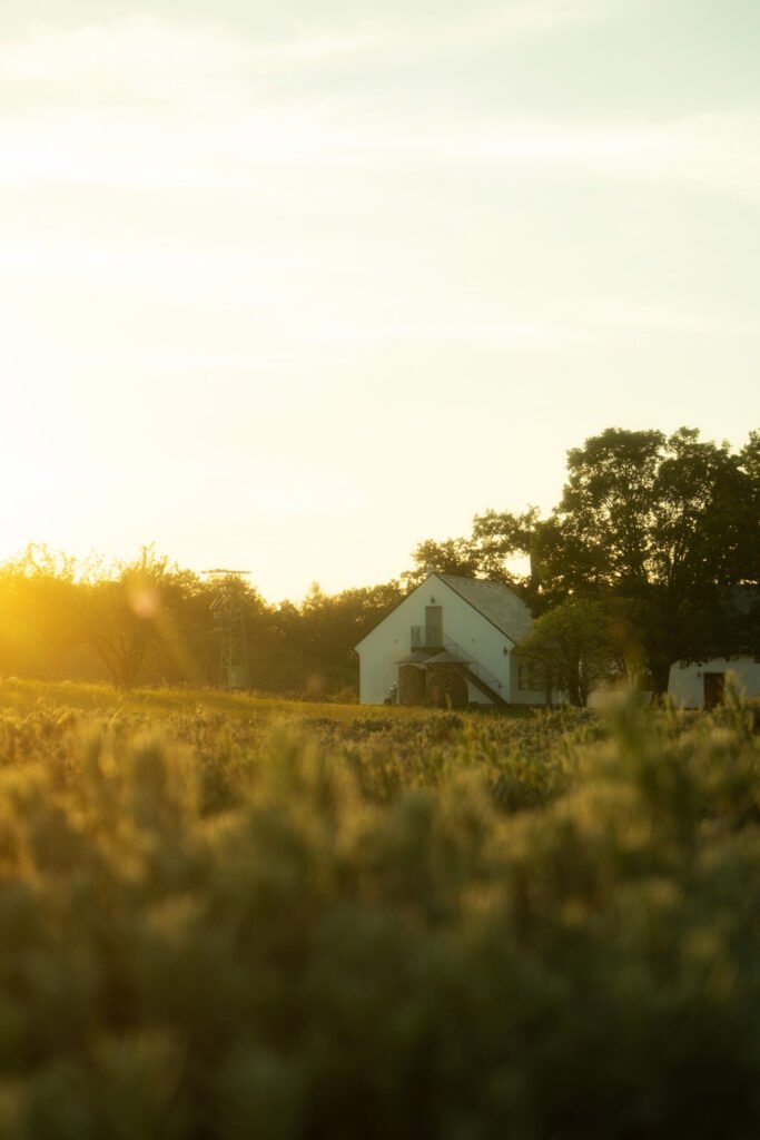 Zahrady Myšlín - Resort & Accommodation Photography, hotel photographer