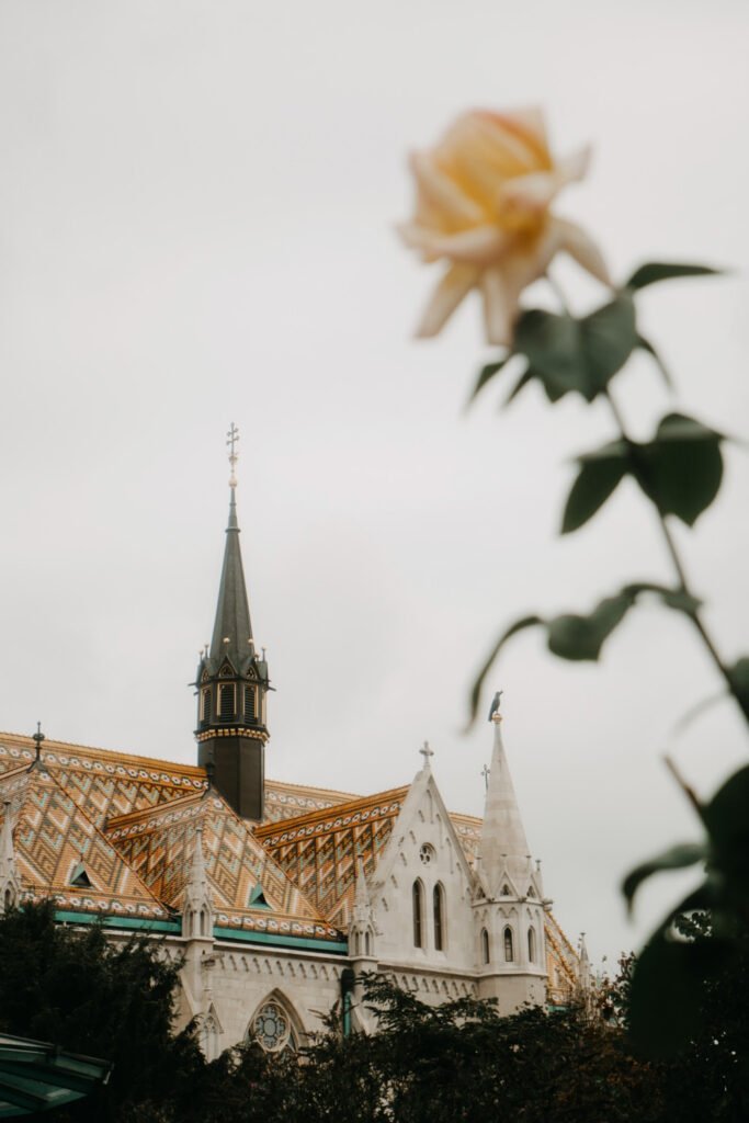 Budapest, street photography, travel photography, content creator, fujifilm