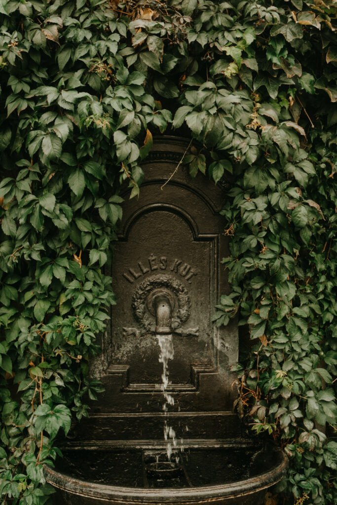 Budapest, street photography, travel photography, content creator, fujifilm