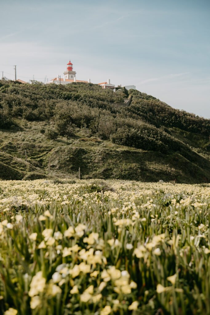 Praia da ursa, travel content, travel photography, content creator, travel photography, portugal